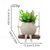 economico Statue-Oggetti decorativi, Resina Stile semplice per Decorazioni per la casa Regali 1 pc