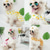 cheap Dresses-Dog Cat Dress Cute Casual Winter Breathable Soft Washable Comfortable Outdoor Casual Daily Dog Clothing for Bichon Frise Pomeranian Baby Pet Papillon Small
