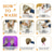 cheap Older Wigs-Short Blonde Brown Wigs for Women Memory Fiber Simulated Human Hair Pixie Curly Wig With Bang,Natural Daily Use Hair(Color JR14#)