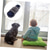 abordables Sweats à capuche-Chien Chat Pulls à capuche Adorable Drôle Hiver Chaud Respirant Doux Lavable Confortable Extérieur Décontracté Quotidien Vêtements pour Chiens for Bichon Frisé Spitz Nain Bébé Animal Papillon Petit