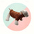 economico Maglioni-Cane Gatto Maglione Moda Festa Inverno Caldo Traspirante Morbido Lavabile Confortevole Natale Halloween All'aperto Casual Quotidiano Abbigliamento per Cani for Bichon Frisé Volpino di Pomerania