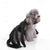 voordelige Halloween Huisdierkostuum-Honden Katten kostuums Citaten &amp; Gezegdes Gedrukt Feest Grappig waterdicht Buiten Halloween  Hond puppy kleding outfits