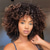 cheap Party Wigs-Curly Wigs for Black Women 14 Inches Soft Curly Afro Wigs With Bangs Premium Synthetic Brown Mixed Blonde Curly Wigs Curly Full Wig for Black Women Daily Use Halloween Wigs