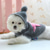abordables Ropa y Accesorios para Perros-Perros Gatos Suéteres Saltador Moda Estilo lindo Invierno Templado Suave Lavable Cómodo Exterior Deportes Ropa para perros for Bichón Frisé Caniche Pomerania Animal doméstico del bebé Mariposa
