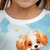 cheap Girl's 3D Animals-Girls' 3D Dog Tee Shirts Short Sleeve 3D Print Summer Active Fashion Cute Polyester Kids 3-12 Years Crew Neck Outdoor Casual Daily Regular Fit