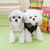 baratos Casacos-Cachorros Gatos Casacos Jaqueta Casual Inverno Respirável Macio Lavável Confortável Grossa Dia a Dia Casual / Diário Caminhada Roupas para cães for Gato Cachorro Husky Labrador Malamute do Alasca