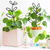 cheap Mr &amp; Mrs Wedding-Plant Climbing Frame Rattan Climbing Iron Flower Frame Outdoor Potted Plant Iron Bracket Plant Support Fixing Rod