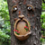 cheap Garden Sculptures&amp;Statues-Bird Feeder Resin Tree Face Ornament Unique Yard Art Bird Food Feeder for Outdoor Garden Decorations