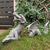cheap Statues-Dragon Garden Decoration Resin Dragon Statue Decorations Resin Dragon Jardin Garten Decor Easter Garden Decor Home Accessorie