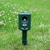 cheap Security Sensors &amp; Alarms-Solar-Powered Ultrasonic Animal Repeller -Waterproof MotionSensor Deterrent for Cats Dogs Birds and Wildlife in Gardens &amp;Outdoors