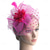 cheap Headpieces-Fascinators Hats Headwear Organza Floppy Hat Top Hat Veil Hat Horse Race Cocktail Elegant Vintage With Feather Bows Headpiece Headwear