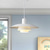 cheap Island Lights-LED Pendant Light  Kitchen Island Pendant Lamp 1-Light 30/38 cm Single Design  E27 Metal Painted Finishes Modern Nordic Style Bedroom Office 110-240V