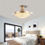abordables Ventilateurs de plafond lumineux-Ventilateur de plafond LED globe suspendu au plafond sur table 1 lumière 90/105 cm design unique 3 couleurs en métal galvanisé style nordique moderne chambre à coucher 110-240 V