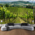 cheap Landscape Tapestry-Countryside Landscape Hanging Tapestry Wall Art Large Tapestry Mural Decor Photograph Backdrop Blanket Curtain Home Bedroom Living Room Decoration