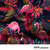 abordables Aves &amp; Animales-Hombre Flamenco Tropical camisa hawaiana Mangas cortas Camisa Cuello Vuelto Hawaiano Complejo Exterior Vacaciones Calle Blanco Rosa Azul Piscina S M L