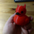 cheap Statues-Lil&#039; Devil Ducky Duckieville Duck Goth Resin Collectible Figurines Ducks, Cute Little Duck Statue Crafts, Novelty Decorative Ornaments Halloween Decoration