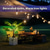 abordables 123496-lampe de bureau en feuille de palmier tropical, USB  &amp; alimenté par batterie pour la chambre  &amp; extérieur, commande par bouton-poussoir, décoration de fête hawaïenne - piles non incluses
