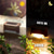 billiga Utomhuslampetter-1st 1 W Vägglampor för Utomhusbruk LED Solbelysning Pathway Lights &amp; Lanterns Soldriven Varmvit Vit Multifärg 3.7 V 1 LED-pärlor