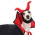 preiswerte Halloween-Haustierkostüm-Hunde Katzen Halloweenkostüm Kostüme Hexe Männlich Gruseliges Kostüm Weich Halloween Karneval Party Kleidungs-Outfits für Hundewelpen