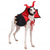 preiswerte Halloween-Haustierkostüm-Hunde Katzen Halloweenkostüm Kostüme Hexe Männlich Gruseliges Kostüm Weich Halloween Karneval Party Kleidungs-Outfits für Hundewelpen