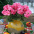 tanie Sztuczne kwiaty-sztuczne czerwone geranium jedwabne kwiaty roślina do użytku na zewnątrz krzew 2 wiązki sztuczne kwiaty pelargonie na zewnątrz kwiatowy wystrój domu kryty ogród patio wazon grób cmentarz ozdoby na