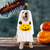 cheap Halloween Pet Costume-Dog Halloween Costumes Dog Costume Ghost Pumpkin Funny Scary Costume Soft Halloween Carnival Party  Dog Puppy Clothes Outfits