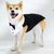 economico Costume per animali domestici di Halloween-Prodotti per cani Smoking Costume da cane Damigella bambina Elegante Morbido Halloween San Valentino Matrimonio Feste  Abiti per cuccioli di cane