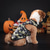 お買い得  ハロウィンペットコスチューム-犬用 ハロウィーンコスチューム 犬用コスチューム カボチャ かわいいスタイル ソフト ハロウィーン カーニバル パーティー 犬用子犬服
