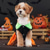 ieftine Costum pentru animale de companie de Halloween-Câini Costume de Halloween Costum Câine Dovleac Drăguţ Cald Halloween Carnaval Petrecere  Ținute haine pentru cățeluși
