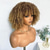 voordelige Topkwaliteit pruiken-afro kinky krullende pruiken voor zwarte vrouwen korte natuurlijke zwarte krullende afro pruik met pony synthetische lijmloze volle pruik hittevriendelijke afro bomb krullende vrouwen pruik