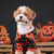 ieftine Costum pentru animale de companie de Halloween-Câini Costume de Halloween Costum Câine Dovleac Drăguţ Απαλό Halloween Carnaval Petrecere  Ținute haine pentru cățeluși