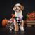 お買い得  ハロウィンペットコスチューム-犬用 ハロウィーンコスチューム 犬用コスチューム スケルトン / スカル かわいいスタイル ソフト ハロウィーン カーニバル パーティー 犬用子犬服