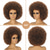 cheap Black &amp; African Wigs-Afro Wigs for Black Women Short Curly Afro Kinky Wig 70s Large Bouncy and Soft Natural Looking Full Puff WIgs for Party Cosplay Afro Wig