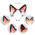 cheap Hair Styling Accessories-Animal Cosplay Costumes Faux Fur Cat Fox Wolf Furry Tail and Ears Headband for Carnival Party Costume Accessories