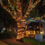 cheap Solar String Lights-Waterproof Solar LED String Lights, Outdoor Christmas Fairy Lights 5M-20 to 22M-200 LEDs for Garden, Wedding, Party &amp; Holiday Decor