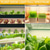 voordelige Lichten voor plantengroei-led full spectrum plantengroeilamp zonlichtgroeilamp usb 5v voor binnenplantenkast groentekas 1/2/4st (plank niet inbegrepen)