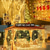 preiswerte Stecker Lichterketten-3 x 3 m lange Lichterkette, 300 LEDs, 31 V, warmweiß, 8 Modi, sicher für Weihnachts-, Hochzeits- und Gartendekorationsbeleuchtung