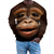 billiga 3D-tröjor för män-Herr Grafisk Orangutang Tröjor Pullover-tröja Långärmad Tröja Huva Semester Häftig Dagligen Tryck Streetwear Semester Utomhussport Tryck Vinter Vår &amp; Höst