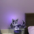 cheap 3D Night Lights-USB 3D LED Night Light, 7 Colors Changing Cat Illusion Lamp, Touch Control Night Light Perfect Decoration &amp; Gift for Cat Lovers