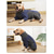 economico Cappotti-Cane Cappotto Pullover Giacca in pile Inverno Caldo Confortevole All'aperto Interno Abbigliamento da Casa Medio Grande