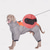 voordelige Jassen-Honden Jassen Jack met harnas Winter Reflecterend waterdicht Warm Buiten Voor Binnen Huiskleding Gemiddeld Grote