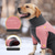 economico Cappotti-Cane Cappotto Pullover Giacca in pile Inverno Caldo Confortevole All'aperto Interno Abbigliamento da Casa Medio Grande