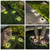 voordelige Pathway Lights &amp; Lanterns-led solar pad licht buiten ip65 waterdicht super helder schijflicht 17led tuin gazon pad patio landschap decoratie 4 stuks