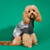 cheap Dog Clothes-Dog Sweater Fashion Winter Warm Fashion Comfortable Outdoor Dailywear Indoor Dog Clothing for Small Medium