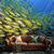 voordelige Ocean Beach Wandtapijt-Landschap Oceaan Vissen Hangend Wandtapijt Wanddecoratie Grote Wandtapijt Muurschildering Fotografie Achtergrond Dekentje Gordijn Huis Slaapkamer Woonkamer Decoratie