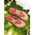 voordelige Bruid-Platte sandalen voor dames in boho-stijl met kralen en bloemenmotief – comfortabele instapschoenen voor bruiloften in de buitenlucht, op het strand of in de tuin.