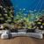 voordelige Ocean Beach Wandtapijt-Landschap Oceaan Vissen Hangend Wandtapijt Wanddecoratie Grote Wandtapijt Muurschildering Fotografie Achtergrond Dekentje Gordijn Huis Slaapkamer Woonkamer Decoratie