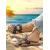 cheap Vacation Sandals-Women&#039;s Black Studded Slip-On Sandals with Stylish Strap Design – Comfortable and Trendy Beach Footwear for Summer