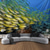 voordelige Ocean Beach Wandtapijt-Landschap Oceaan Vissen Hangend Wandtapijt Wanddecoratie Grote Wandtapijt Muurschildering Fotografie Achtergrond Dekentje Gordijn Huis Slaapkamer Woonkamer Decoratie