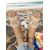 cheap Vacation Sandals-Women&#039;s Black Studded Slip-On Sandals with Stylish Strap Design – Comfortable and Trendy Beach Footwear for Summer